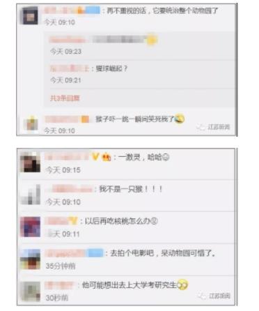 动物园猴子砸玻璃是什么情况 具体原因是什么样