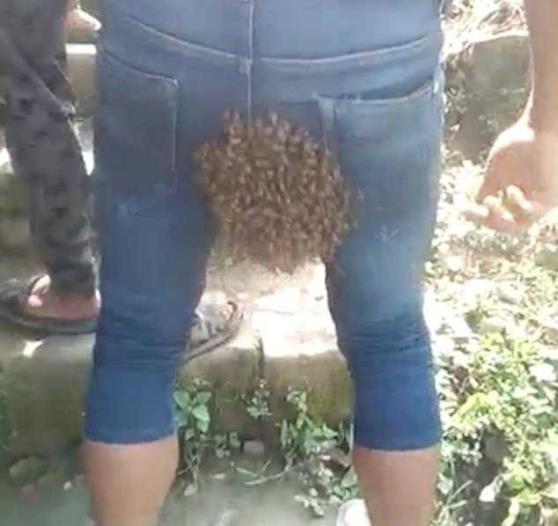 小伙臀部引蜜蜂筑巢什么情况 现场照片引得网友笑喷