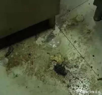 幼儿园食材发霉怎么回事 事件始末详情曝光