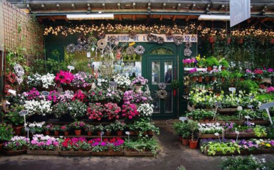 花店不开了花继续开下一句是什么 这句话的出处及意思 花店不开了花继续开下一句是什么 这句话的出处及意思