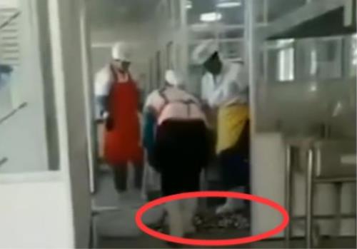 小学食堂用脚刷餐具什么情况 事件始末详情曝光令人愤怒 小学食堂用脚刷餐具什么情况 事件始末详情曝光令人愤怒