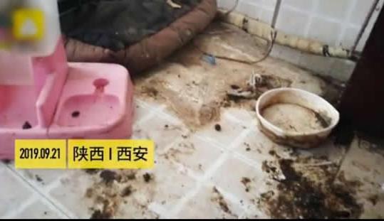 网红租房到期失联 女网红李艾佳个人资料被扒 网红租房到期失联 女网红李艾佳个人资料被扒