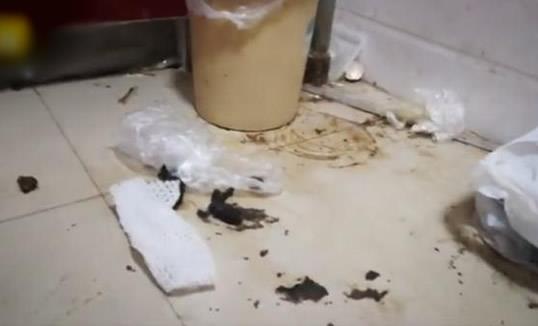 网红租房到期失联 女网红李艾佳个人资料被扒 网红租房到期失联 女网红李艾佳个人资料被扒