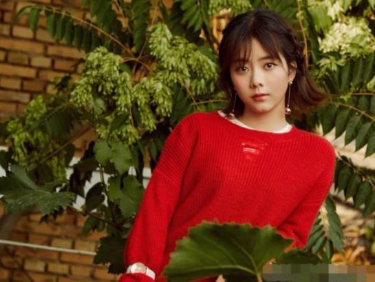 沈月否认出演中国版请回答 沈月否认出演的真实原因曝光