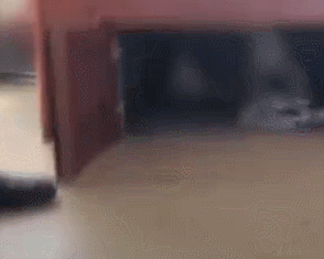 床下现隔壁女邻居怎么回事 事件始末详情及原因曝光