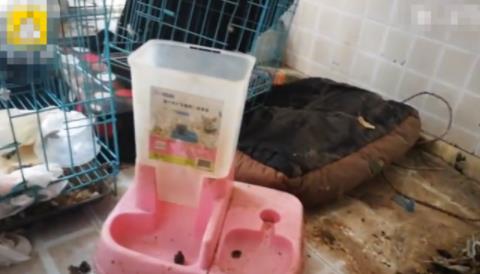 女网红租房到期失联后续来了 女网红现身打扫房间已道歉 女网红租房到期失联后续来了 女网红现身打扫房间已道歉