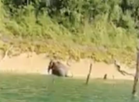 男子钓鱼见鬼怪什么情况 事件背后的真相笑坏众人 男子钓鱼见鬼怪什么情况 事件背后的真相笑坏众人