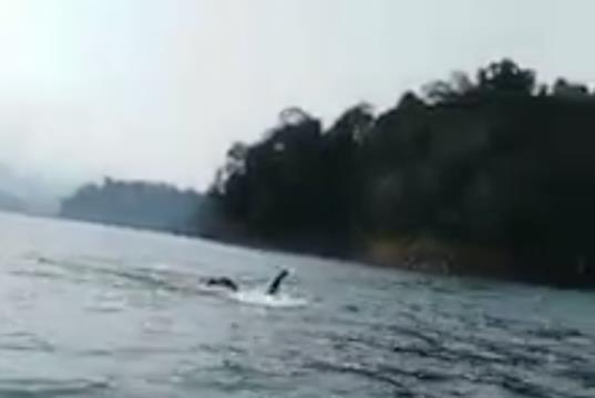 男子钓鱼见鬼怪什么情况 事件背后的真相笑坏众人 男子钓鱼见鬼怪什么情况 事件背后的真相笑坏众人