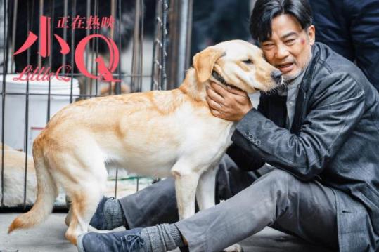 小Q票房破亿怎么回事 电影小Q讲述了什么感人故事