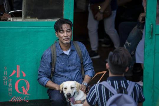 小Q票房破亿怎么回事 电影小Q讲述了什么感人故事