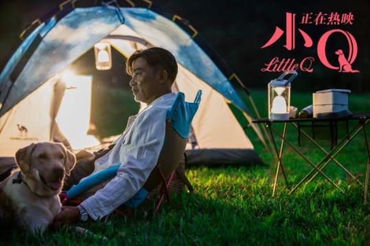 小Q票房破亿怎么回事 电影小Q讲述了什么感人故事