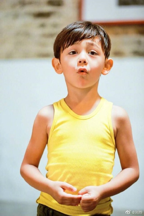 刘烨为儿子庆生怎么回事 时光九宫格纪录诺一成长