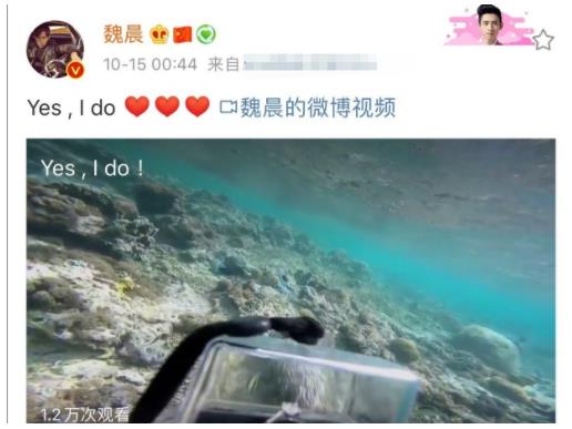 魏晨女友潜水被求婚 相爱多年修成正果 