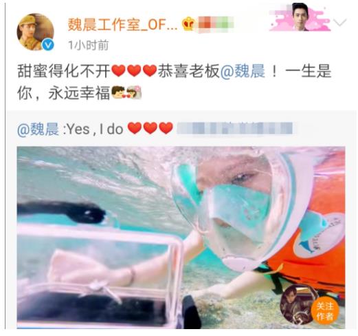 魏晨女友潜水被求婚 相爱多年修成正果 