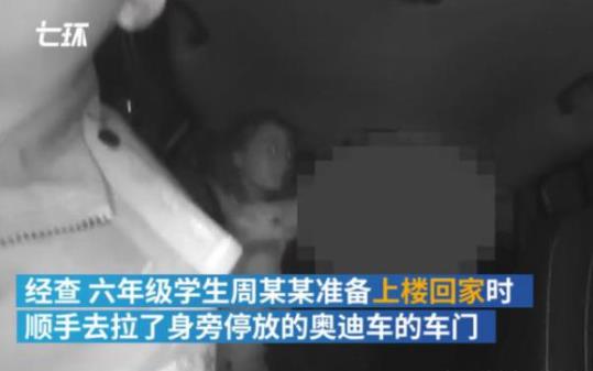 13岁小学生偷开奥迪什么情况 事件始末详情介绍 13岁小学生偷开奥迪什么情况 事件始末详情介绍