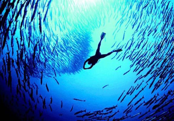 3名中国游客失踪在印尼潜水失踪 这究竟是怎么回事？