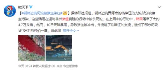 韩国宰5万头猪遏制猪瘟蔓延 现场“血流成河”画面曝光 韩国宰5万头猪遏制猪瘟蔓延 现场“血流成河”画面曝光