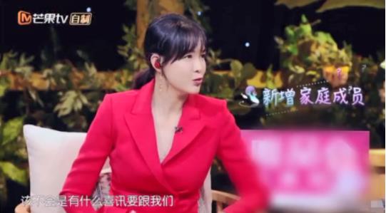 杜江否认老婆怀孕怎么回事 杜江具体说了什么