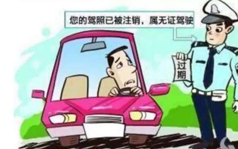 无证驾驶50年七旬老人被罚款 这到底是怎么回事 无证驾驶50年七旬老人被罚款 这到底是怎么回事