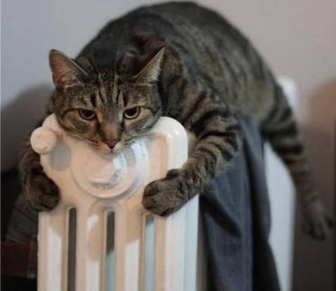 女生暖气管烫刘海怎么回事 暖气管还有哪些你不知道的操作 女生暖气管烫刘海怎么回事 暖气管还有哪些你不知道的操作