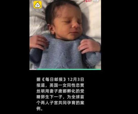 全球首例共享母亲怎么回事 英国同性恋共同孕育一子