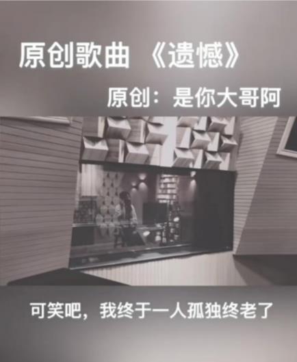 抖音可笑吧我终于孤独终老了是什么歌 遗憾歌词完整版介绍