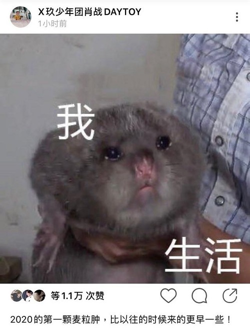 肖战麦粒肿上热搜了 麦粒肿什么症状怎么治疗 肖战麦粒肿上热搜了 麦粒肿什么症状怎么治疗