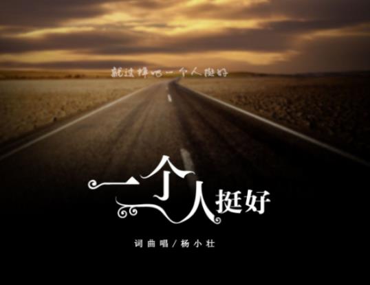 这么多年我看透过很多人是什么歌 一个人挺好歌词完整介绍