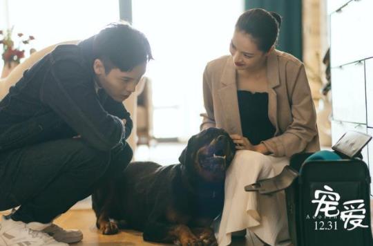 宠爱豪七是什么品种 豪七为什么会突然去世 宠爱豪七是什么品种 豪七为什么会突然去世