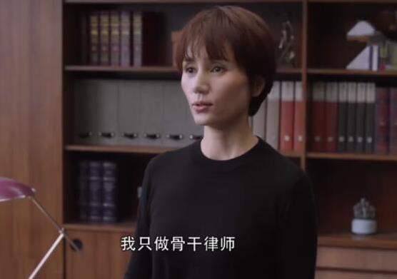 精英律师杨帆结局 杨帆喜欢罗槟吗两人到底是什么关系 精英律师杨帆结局 杨帆喜欢罗槟吗两人到底是什么关系