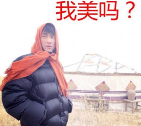 林更新九亿少女的梦是什么梗 此梗的出处及意思介绍