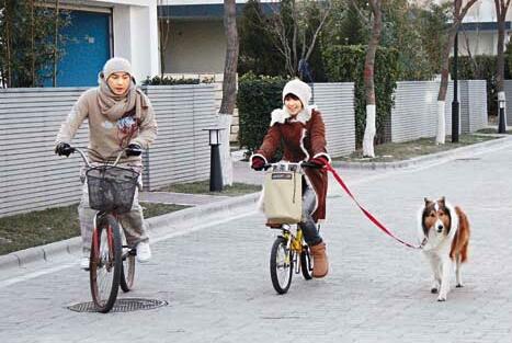 张卫健老婆张茜个人资料：张卫健老婆为什么不能生