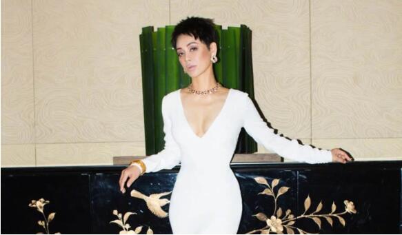 宁静否认改国籍 霸气回应称自己是中国人半秒都没变过 宁静否认改国籍 霸气回应称自己是中国人半秒都没变过