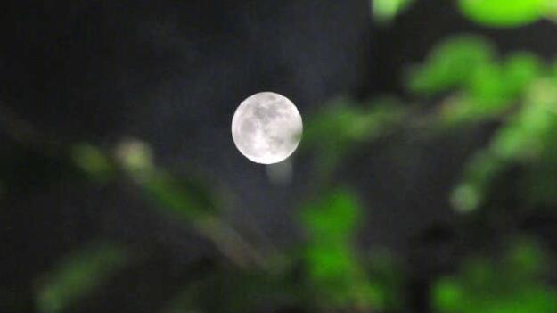 2020首个超级月亮亮相 超级大月亮长什么样呢 2020首个超级月亮亮相 超级大月亮长什么样呢