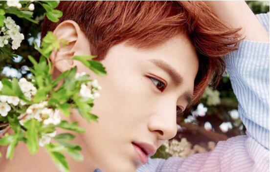 荣耀乒乓徐坦结局是什么 揭露徐坦结局及扮演者个人资料