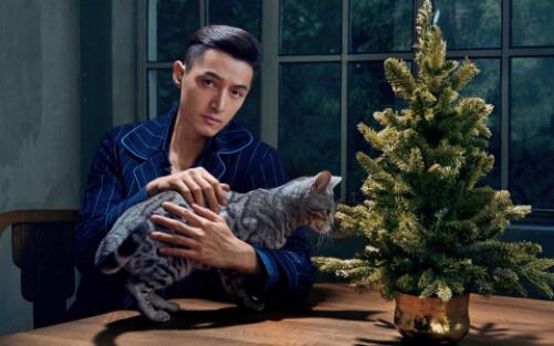 胡歌方辟谣结婚 这次结婚对象竟然是她 胡歌方辟谣结婚 这次结婚对象竟然是她