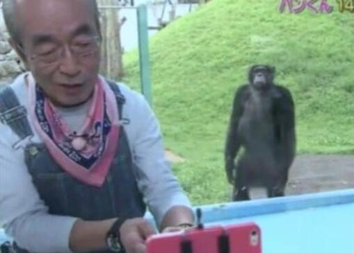 相叶雅纪悼念志村健说了什么 志村健什么原因去世的 相叶雅纪悼念志村健说了什么 志村健什么原因去世的