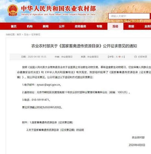 武汉解封首日黄鼠狼上街讨饭 狗为伴侣动物拟禁食