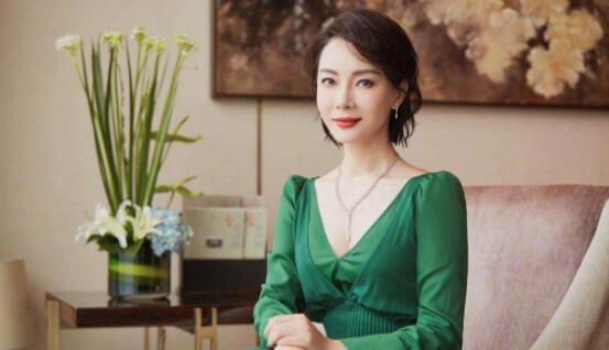 陈数的个人资料和图片 陈数是鹿晗什么人