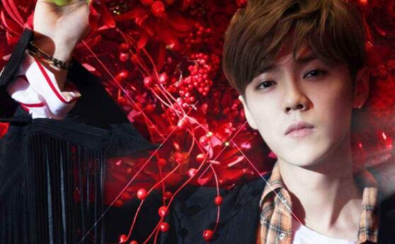 陈数的个人资料和图片 陈数是鹿晗什么人