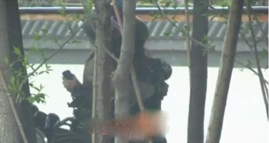 屈楚萧否认恋情 绯闻女友万籽麟回应刚得知分手了是怎么个情况