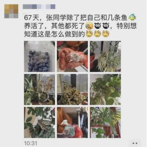 女护士援鄂67天回家后惊呆了 网友：同一个世界同一个老公