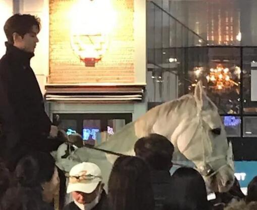 李敏镐骑白马什么情况 李敏搞新剧《永远的君主》高分上线 李敏镐骑白马什么情况 李敏搞新剧《永远的君主》高分上线