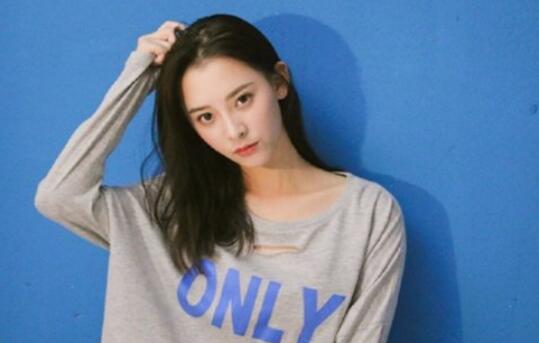 张新成个人资料简介 张新成绯闻女友大合集 张新成个人资料简介 张新成绯闻女友大合集