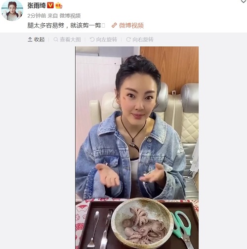 张雨绮剪八爪鱼疑内涵罗志祥 张雨绮和罗志祥什么关系