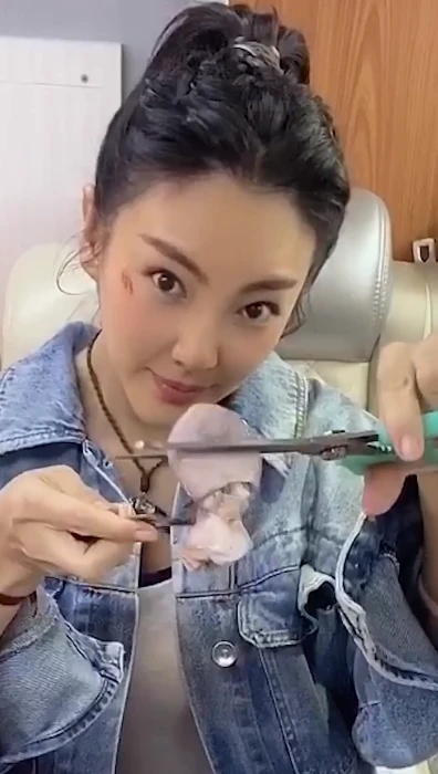 张雨绮剪八爪鱼疑内涵罗志祥 张雨绮和罗志祥什么关系