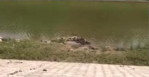 湖南女大学生被同村男杀害 嫌疑人15岁就涉嫌杀人被逮捕 湖南女大学生被同村男杀害 嫌疑人15岁就涉嫌杀人被逮捕