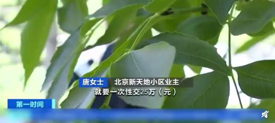 小区车位25万租36年 强制一次性出租究竟是什么情况