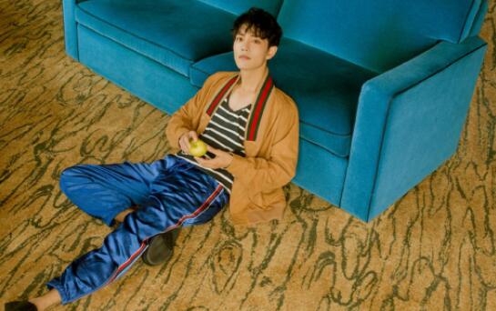 人气明星肖战227事件始末 肖战为什么被黑及个人资料介绍 人气明星肖战227事件始末 肖战为什么被黑及个人资料介绍