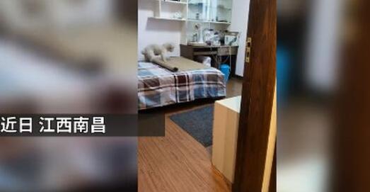 狗狗铺凉席关灯睡觉 详情画面曝光简直是成精了！